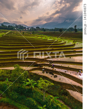 Aerial view of farmers wearing conical hats working in the lush green Tegalalang rice terraces in Tegalalang, Bali, Indonesia. Aerial view of farmers wearing conical hats working in the lush green Tegalalang rice terraces in Tegalalang, Bali, Indonesia. 141840873