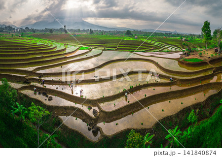 Aerial view of farmers wearing conical hats working in the lush green Tegalalang rice terraces in Tegalalang, Bali, Indonesia. 141840874