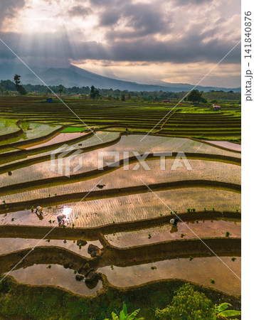 Aerial view of farmers wearing conical hats working in the lush green Tegalalang rice terraces in Tegalalang, Bali, Indonesia. 141840876