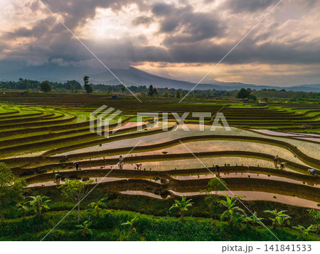 Aerial view of farmers wearing conical hats working in the lush green Tegalalang rice terraces in Tegalalang, Bali, Indonesia. Aerial view of farmers wearing conical hats working in the lush green Tegalalang rice terraces in Tegalalang, Bali, Indonesia. 141841533