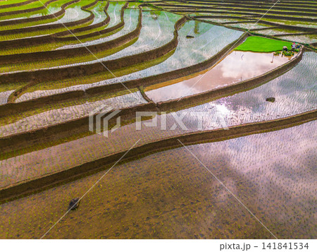 Aerial view of farmers wearing conical hats working in the lush green Tegalalang rice terraces in Tegalalang, Bali, Indonesia. Aerial view of farmers wearing conical hats working in the lush green Tegalalang rice terraces in Tegalalang, Bali, Indonesia. 141841534