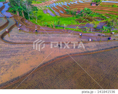 Aerial view of farmers wearing conical hats working in the lush green Tegalalang rice terraces in Tegalalang, Bali, Indonesia. Aerial view of farmers wearing conical hats working in the lush green Tegalalang rice terraces in Tegalalang, Bali, Indonesia. 141841536
