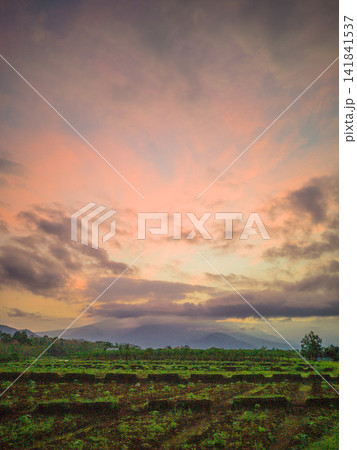 Aerial view of farmers wearing conical hats working in the lush green Tegalalang rice terraces in Tegalalang, Bali, Indonesia. Aerial view of farmers wearing conical hats working in the lush green Tegalalang rice terraces in Tegalalang, Bali, Indonesia. 141841537
