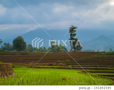 Aerial view of farmers wearing conical hats working in the lush green Tegalalang rice terraces in Tegalalang, Bali, Indonesia. Aerial view of farmers wearing conical hats working in the lush green Tegalalang rice terraces in Tegalalang, Bali, Indonesia. 141841595