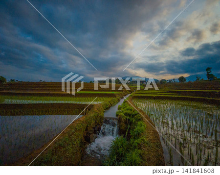 Aerial view of farmers wearing conical hats working in the lush green Tegalalang rice terraces in Tegalalang, Bali, Indonesia. Aerial view of farmers wearing conical hats working in the lush green Tegalalang rice terraces in Tegalalang, Bali, Indonesia. 141841608
