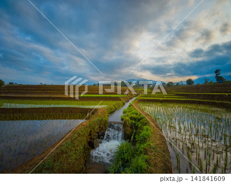 Aerial view of farmers wearing conical hats working in the lush green Tegalalang rice terraces in Tegalalang, Bali, Indonesia. Aerial view of farmers wearing conical hats working in the lush green Tegalalang rice terraces in Tegalalang, Bali, Indonesia. 141841609