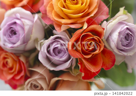 オレンジとパープルの鮮やかなバラの花束 オレンジとパープルの鮮やかなバラの花束 141842022