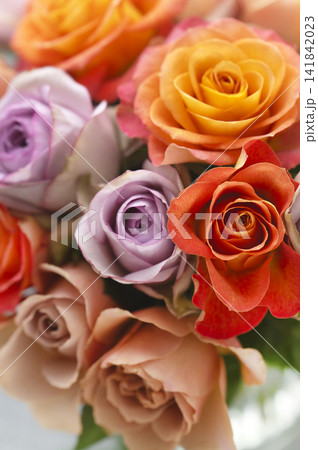 オレンジとパープルの鮮やかなバラの花束 141842023