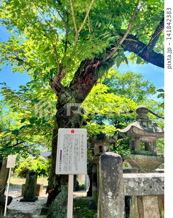 櫛原天満宮 櫛原天満宮 141842383