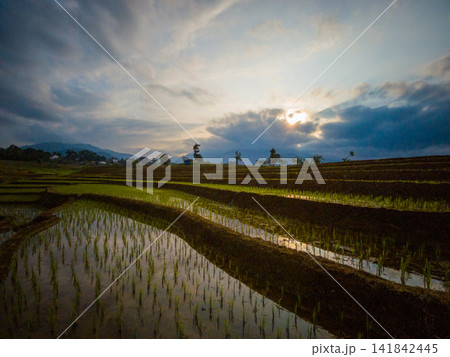 Aerial view of farmers wearing conical hats working in the lush green Tegalalang rice terraces in Tegalalang, Bali, Indonesia. 141842445