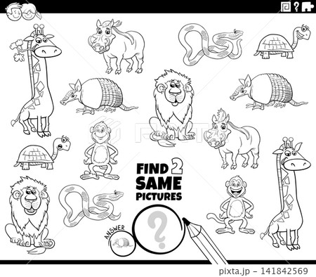 find two same cartoon wild animals educational activity puzzle coloring page find two same cartoon wild animals educational activity puzzle coloring page 141842569