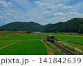 夏の田園風景を走る電車 141842639