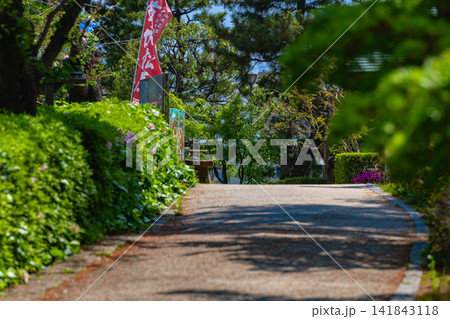 埼玉県　草加市 141843118