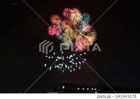 2026年いたばし花火大会 2026年いたばし花火大会 141843278