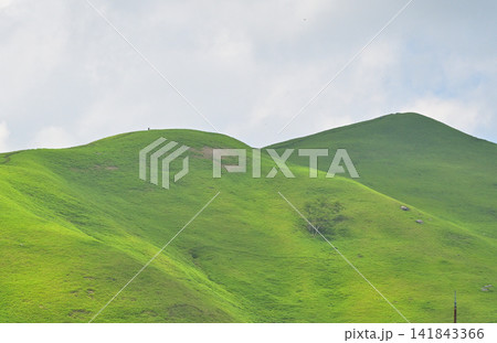 熊笹の茂る丘陵の山 141843366
