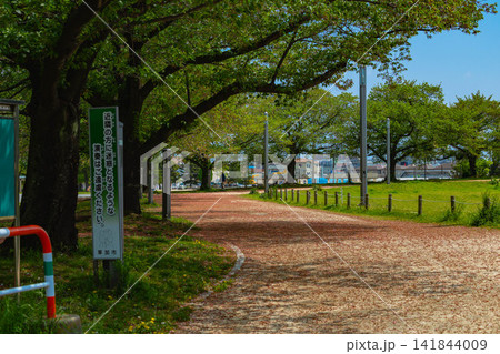 埼玉県 草加市 埼玉県 草加市 141844009