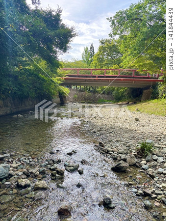猪野川の清らかなせせらぎと新緑の風景(福岡県) 猪野川の清らかなせせらぎと新緑の風景(福岡県) 141844439