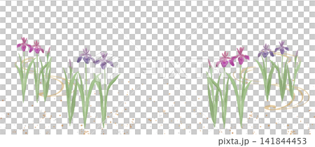 Watercolor illustration of irises Watercolor illustration of irises 141844453