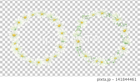Watercolor daisy and marguerite wreath set Watercolor daisy and marguerite wreath set 141844461