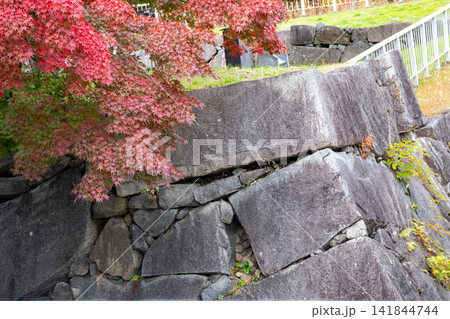 城の石垣と紅葉や黄葉の木々 141844744