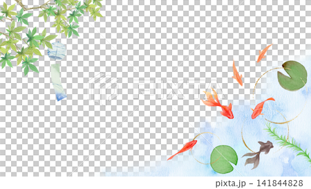 金魚風鈴和楓葉金魚插畫框 141844828