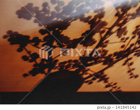 Abstract shadow of a berry branch cast across a warm amber surface, creating a moody botanical composition with soft light, organic shapes, dramatic contrast and an artistic vintage aesthetic. Abstract shadow of a berry branch cast across a warm amber surface, creating a moody botanical composition with soft light, organic shapes, dramatic contrast and an artistic vintage aesthetic. 141845142
