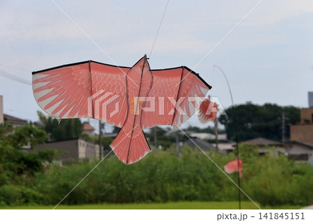 鷹型の鳥除け凧 イメージ 鷹型の鳥除け凧 イメージ 141845151