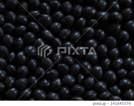 黒大豆の背景 黒大豆の背景 141845379