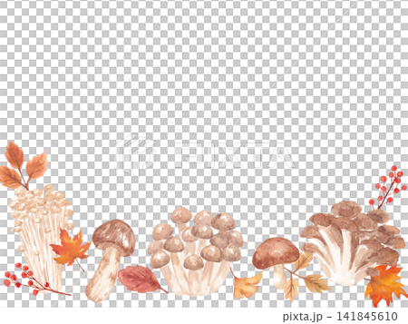 Watercolor mushroom frame Watercolor mushroom frame 141845610