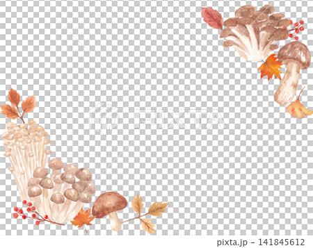 Watercolor mushroom frame Watercolor mushroom frame 141845612