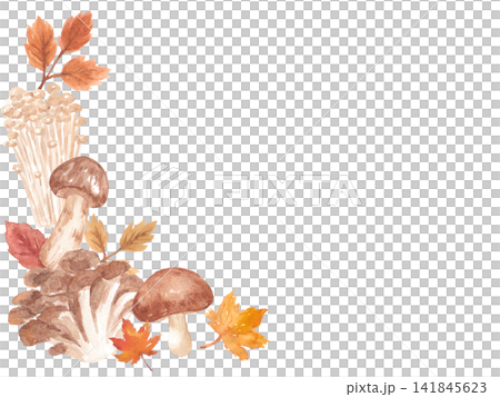 Watercolor mushroom frame Watercolor mushroom frame 141845623