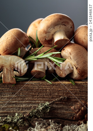 Mushrooms on a old wooden board. Mushrooms on a old wooden board. 141846637