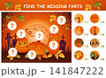Find missing pieces Halloween holiday pumpkin lanterns picture, match parts. Children education puzzle game. Mystery monster characters on cemetery. Complete drawing. Kid logical learning task. Vector 141847222