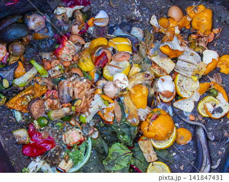 A compost bin containing food waste in the backyard of a residential house A compost bin containing food waste in the backyard of a residential house 141847431