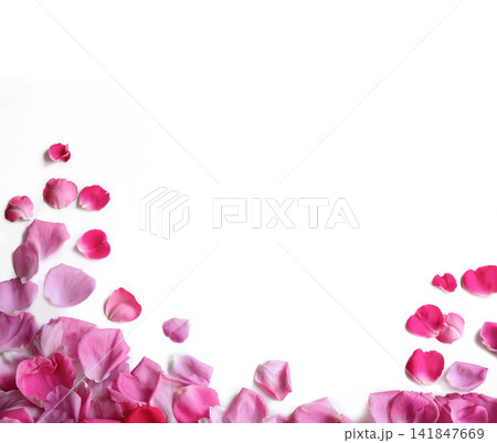 Natural background of rose petals Natural background of rose petals 141847669
