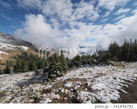 にわか雪が通り去った後の夏山の風景 にわか雪が通り去った後の夏山の風景 141848782