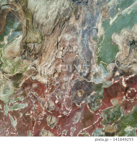 Colorful peeling tree bark texture showing distinct green red and brown organic hues across a rough natural wooden surface Colorful peeling tree bark texture showing distinct green red and brown organic hues across a rough natural wooden surface 141849255