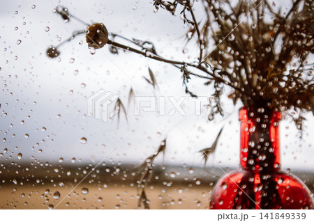 Rain droplets on glass frame a moody still life of dried flowers and a red glass bottle, with a soft blurred landscape beyond evoking autumn nostalgia Rain droplets on glass frame a moody still life of dried flowers and a red glass bottle, with a soft blurred landscape beyond evoking autumn nostalgia 141849339