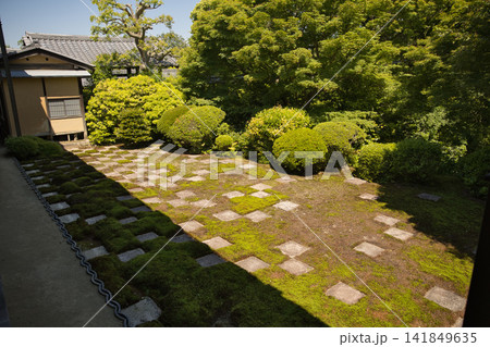 東福寺 方丈北庭「小市松模様の庭」1 東福寺 方丈北庭「小市松模様の庭」1 141849635