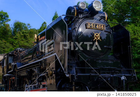 緑の中のD51 緑の中のD51 141850025