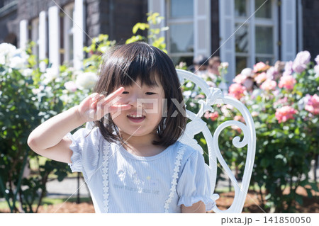 バラ園の白いアイアンチェアに座る日本人の女の子の幼児 バラ園の白いアイアンチェアに座る日本人の女の子の幼児 141850050