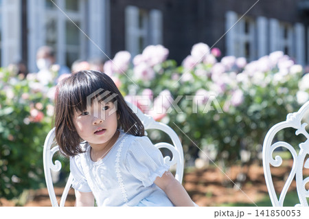 バラ園の白いアイアンチェアに座る日本人の女の子の幼児 バラ園の白いアイアンチェアに座る日本人の女の子の幼児 141850053
