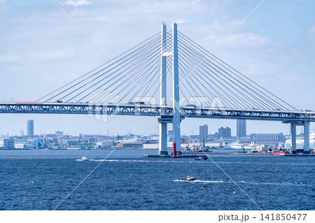横浜港シンボルタワーから望む横浜港周辺の風景 横浜港シンボルタワーから望む横浜港周辺の風景 141850477