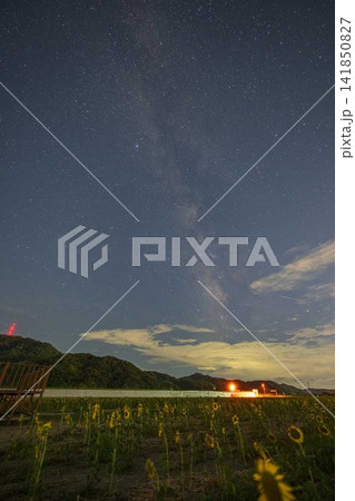 日本の岡山県笠岡市のひまわり畑に浮かぶ美しい夏の星空 141850827
