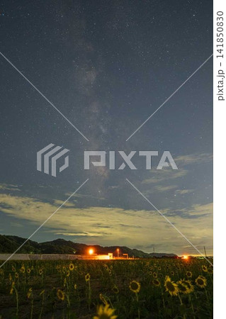 日本の岡山県笠岡市のひまわり畑に浮かぶ美しい夏の星空 日本の岡山県笠岡市のひまわり畑に浮かぶ美しい夏の星空 141850830