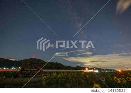 日本の岡山県笠岡市のひまわり畑に浮かぶ美しい夏の星空 日本の岡山県笠岡市のひまわり畑に浮かぶ美しい夏の星空 141850834