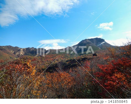 秋色広がる姥ヶ平下の景観 141850845