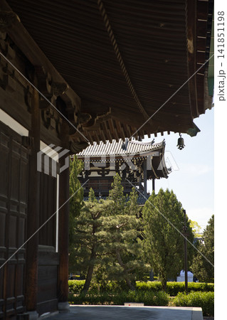 東福寺 本堂脇から見る三門1 東福寺 本堂脇から見る三門1 141851198