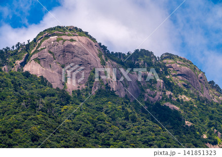 屋久島世界自然遺産 花崗岩の山(夏 屋久島世界自然遺産 花崗岩の山(夏 141851323