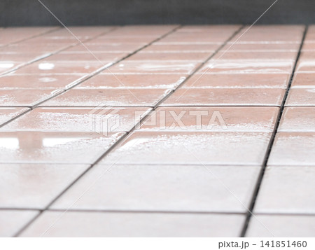 雨上がりのベランダのタイル 雨上がりのベランダのタイル 141851460